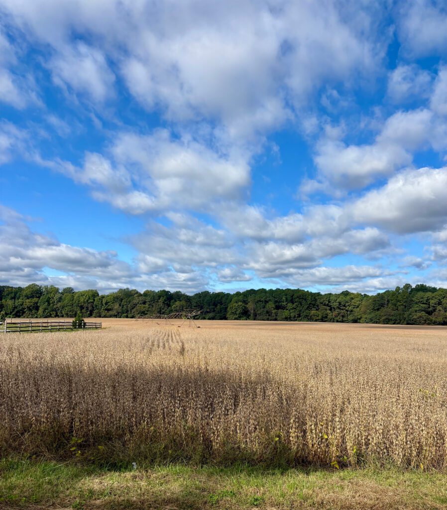 Land For Sale In Sussex County, Delaware | Build-Ready